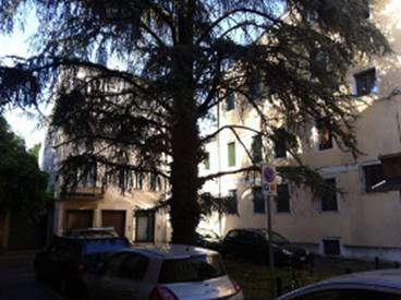 Risultati immagini per Piazzetta Colonna padova